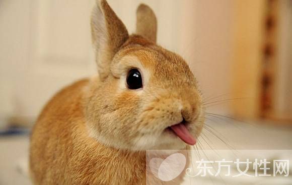 怎知濕氣重 晨起三大癥狀需警惕