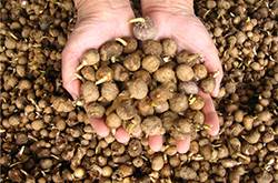 牛皮癬偏方大全 快get好