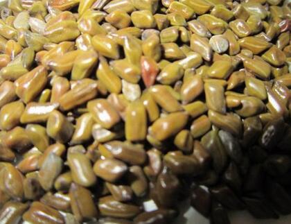 決明子的功效有哪些 決明子泡茶喝六大功效