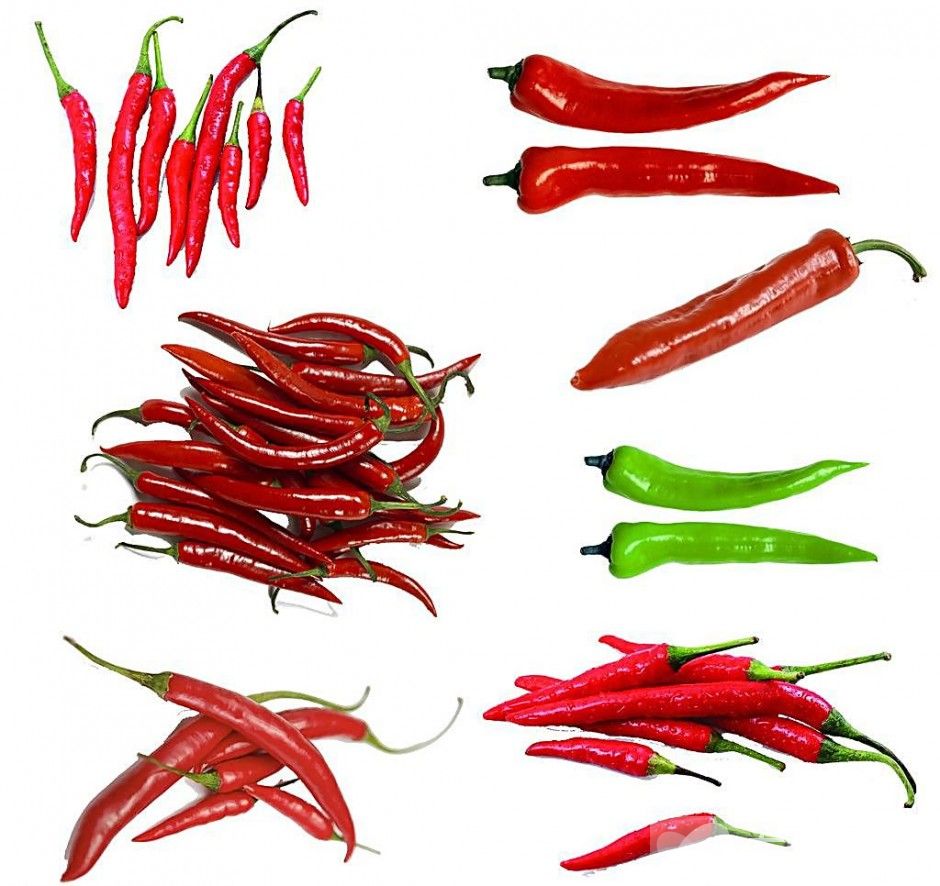 濕疹癥狀及治療方法是什么 4要點(diǎn)教你如何預(yù)防