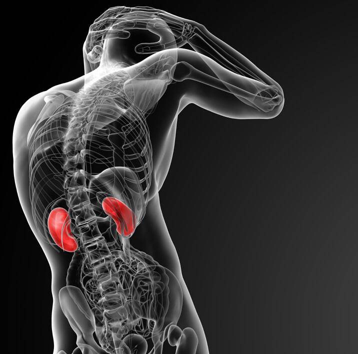 老中醫(yī)的十種養(yǎng)腎方法 吃什么最養(yǎng)腎