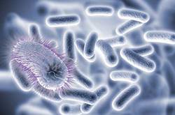 癌癥會遺傳嗎 這些癌癥有遺傳傾向