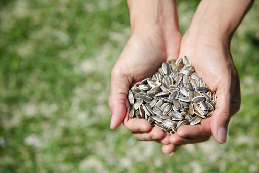 藥補(bǔ)不如食補(bǔ) 選對(duì)食物讓你渾身補(bǔ)個(gè)遍