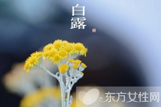 白露養(yǎng)生保健指南 衣食住行這些要注意