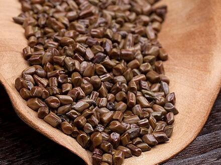 決明子的功效有哪些 決明子泡茶喝六大功效