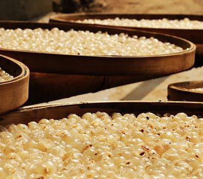 缺鋅吃什么食物 這些補(bǔ)鋅食療很有效