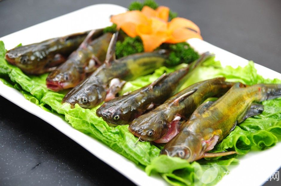 黃鱔魚的六大家常做法 你被饞到了嗎