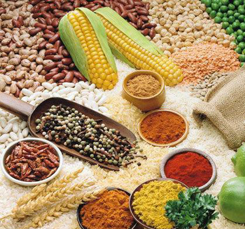 膳食纖維的十大作用 搭配食用更健康