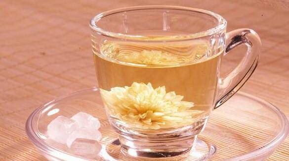 款冬花的功效與作用 它的最佳食療方法