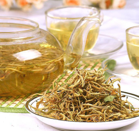 金銀花并不都是好處 淺談金銀花的副作用