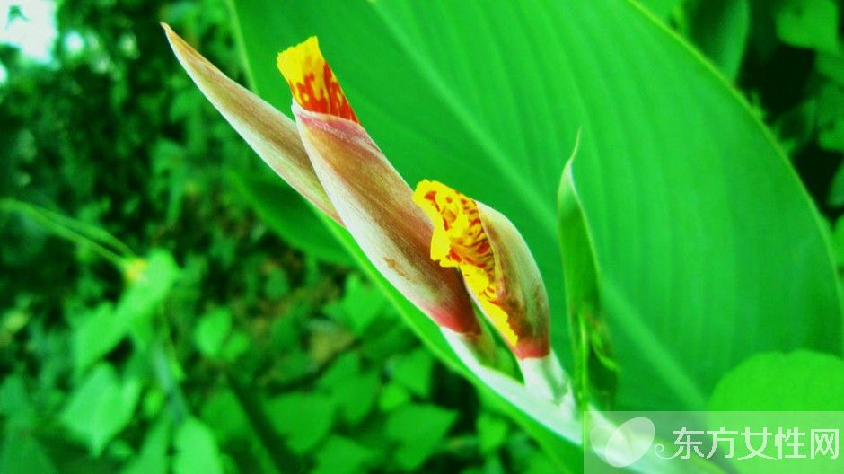 心絞痛的早期癥狀表現(xiàn) 出現(xiàn)這些狀況一定要引起重視