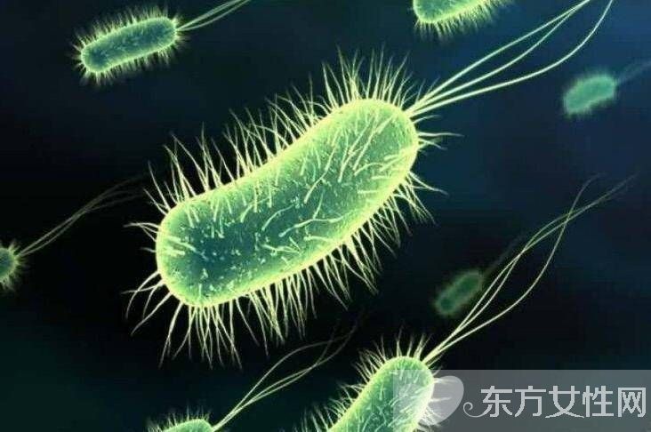 結(jié)核性腦膜炎會(huì)傳染嗎 腦膜炎的傳染途徑