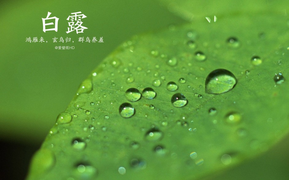 白露養(yǎng)生保健指南 衣食住行這些要注意