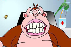 揭拔牙的最佳時(shí)間 拔牙后注意事項(xiàng)有哪些