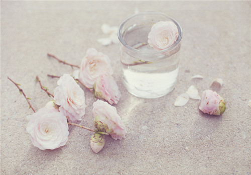 茶花粉的功效與作用有哪些 真的能養(yǎng)顏嗎