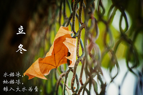 立冬進補攻略 立冬吃什么才養(yǎng)生