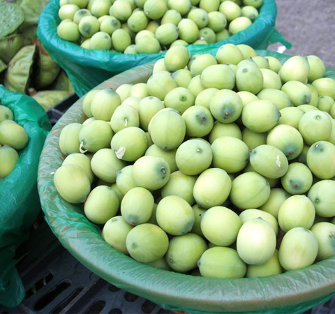 蓮心泡茶能隔夜喝嗎 揭蓮心茶的好處