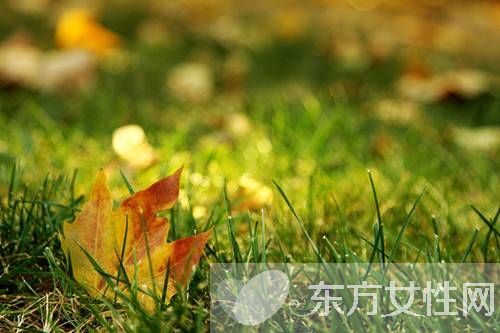 白露養(yǎng)生保健指南 衣食住行這些要注意