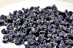 黑枸杞的正確吃法 黑枸杞的功效與作用