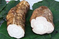 葛根的作用與功效有哪些 對女性的四大保健作用