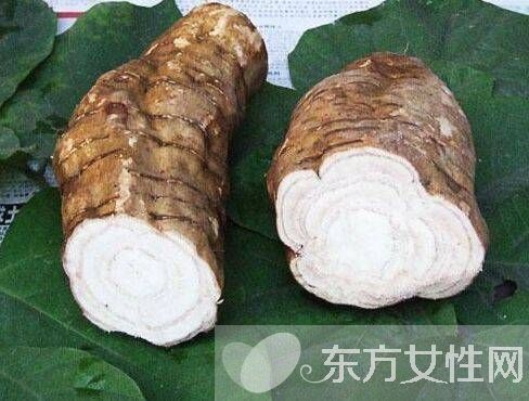 葛根的作用與功效有哪些 對女性的四大保健作用