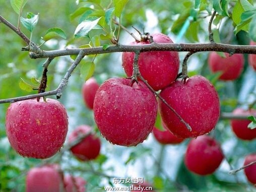 細(xì)數(shù)含糖量低的水果 它們都有什么豐富的營(yíng)養(yǎng)價(jià)值