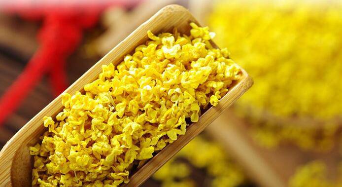 養(yǎng)生桂花茶的做法 桂花茶的功效與作用