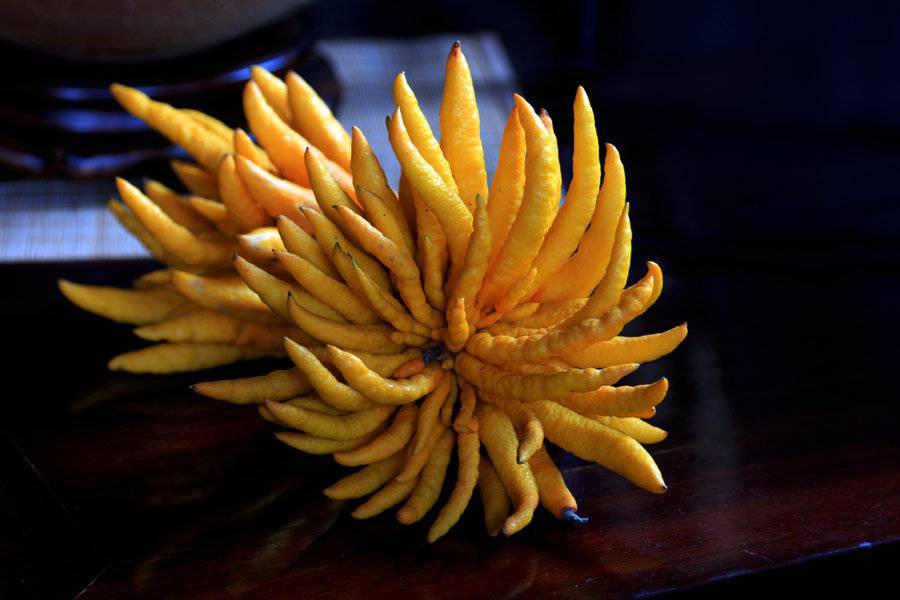 皰疹的最佳治療方法 食療也可治皰疹