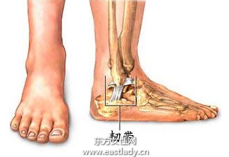 韌帶損傷應該注意哪些飲食 四個方法教你如何正確做好防護