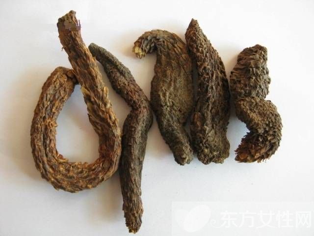 細菌性陰道炎的治療 這些陰道炎的食療偏方很管用哦