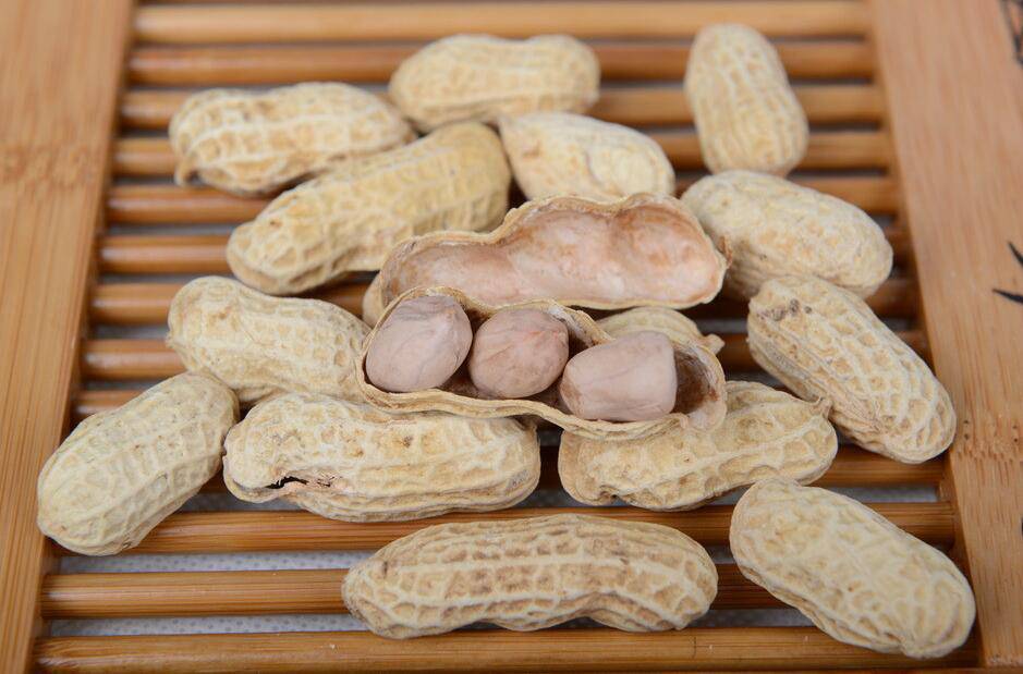 水煮花生米的做法大全 花生的營養(yǎng)價值