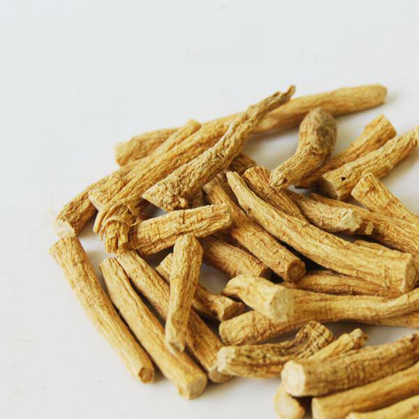 西洋參泡水的功效雖好 但以下禁忌需注意