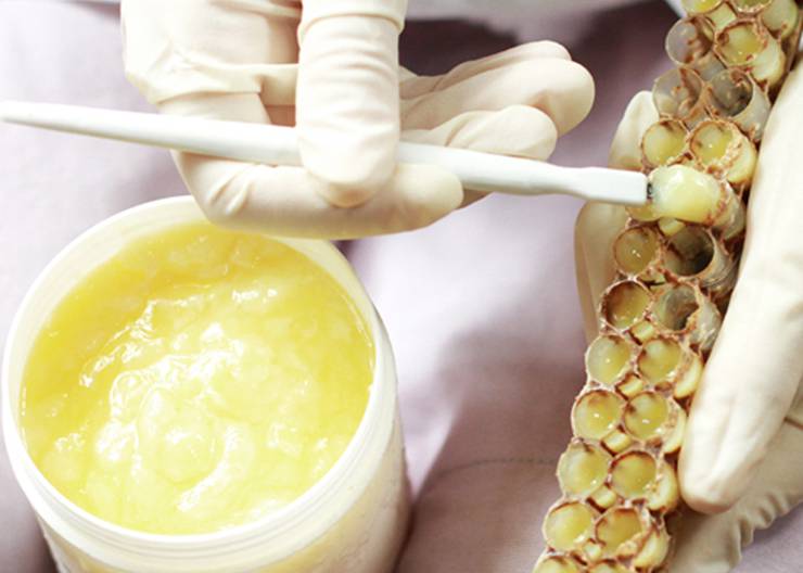 蜂王漿怎么吃最好 蜂王漿的禁忌人群有哪些