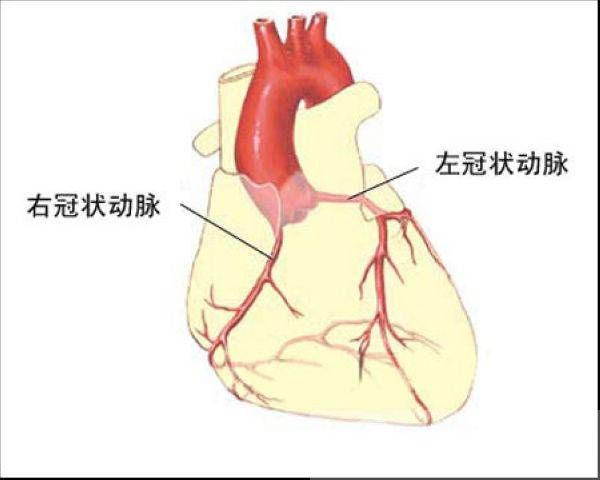 肺心病癥狀及治療 中醫(yī)治療肺心病小妙方推薦