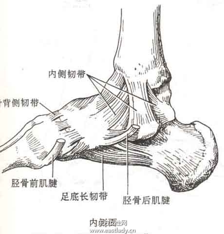 韌帶損傷應(yīng)該注意哪些飲食 四個(gè)方法教你如何正確做好防護(hù)