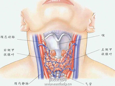神經(jīng)官能癥能治愈嗎 神經(jīng)官能癥治療方法