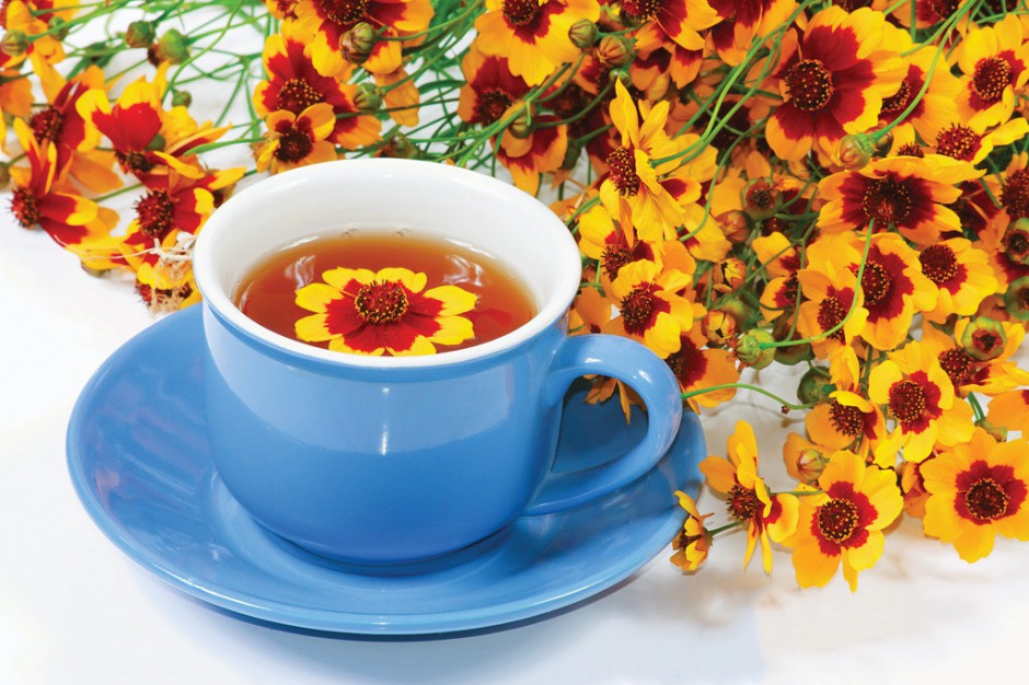 喝菊花茶有什么好處 五類人群切忌喝菊花茶