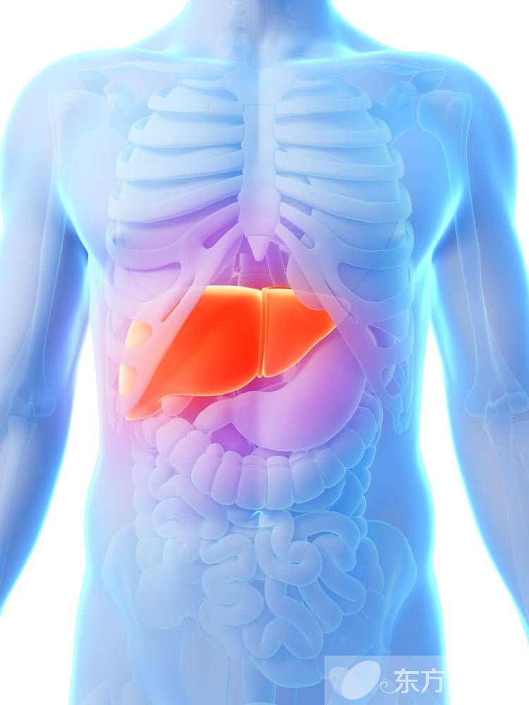 乙肝知識(shí)普及 乙肝病毒攜帶者是乙肝嗎