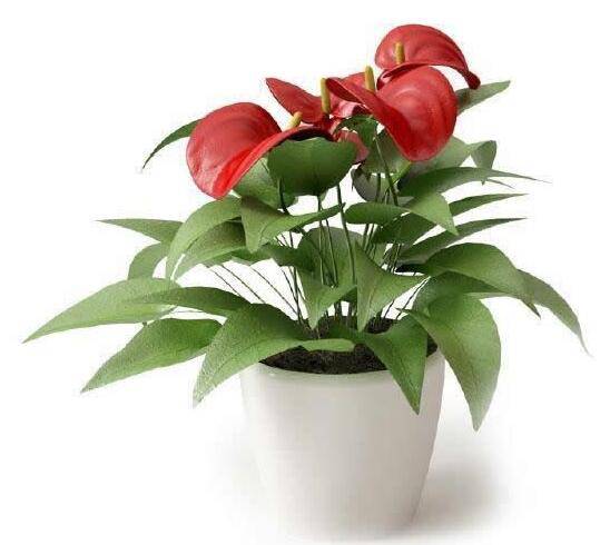 健康生活保健法 如何對付身體缺氧現(xiàn)象