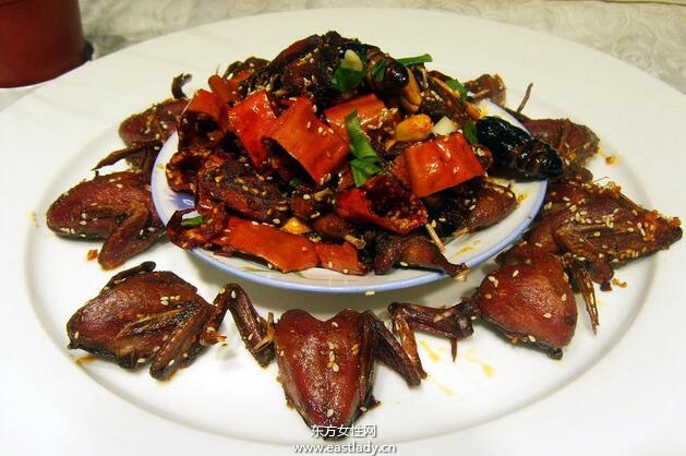 金蟬花的功效與作用有哪些 什么人不能吃