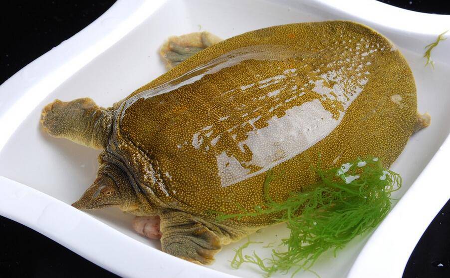 想要告別黃臉婆 這些食物要多吃