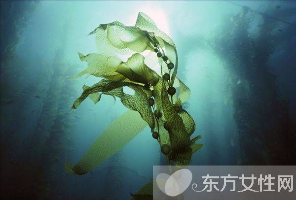 治療子宮肌瘤的偏方 這些居然是子宮肌瘤的早起癥狀