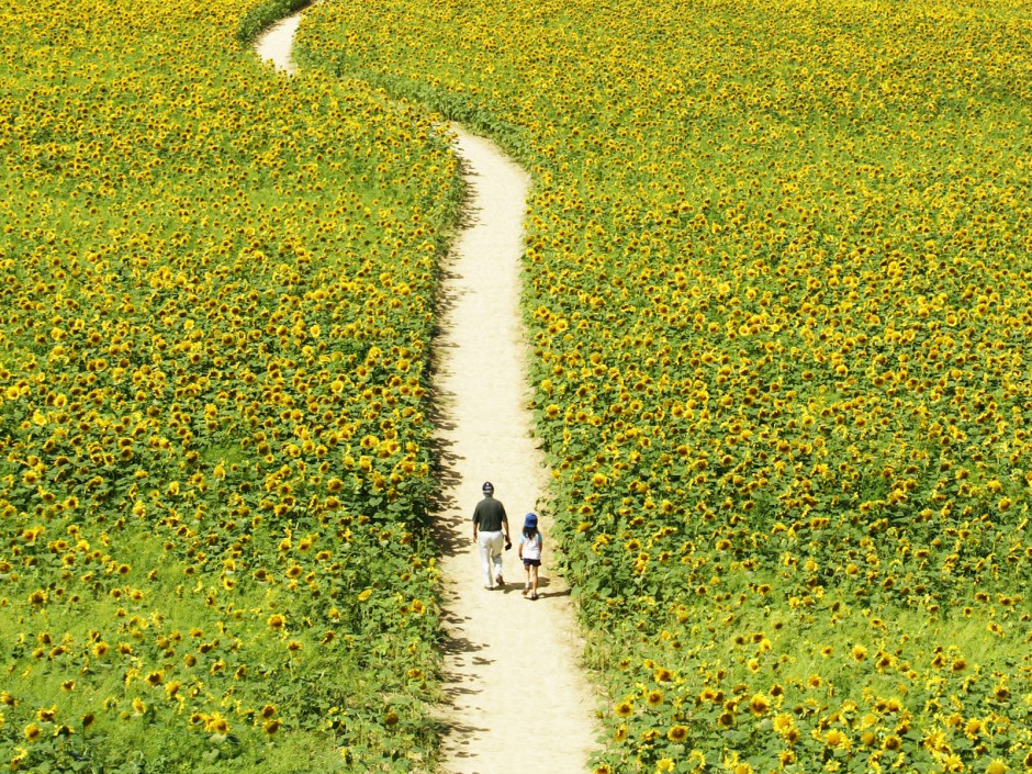 中醫(yī)治療肝病的方法 肝病潛行危害大