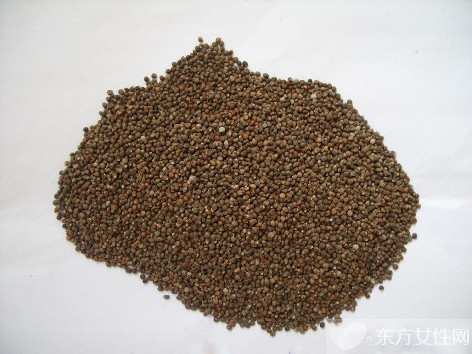 民間老年肺氣腫偏方推薦輔助治療小藥方大成效