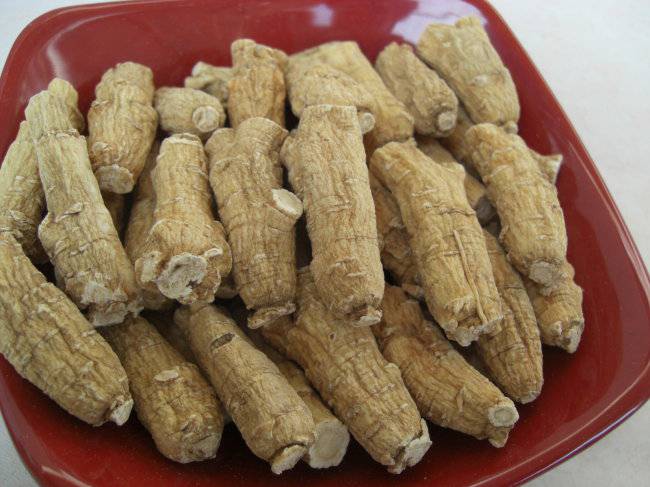 西洋參泡水的功效雖好 但以下禁忌需注意