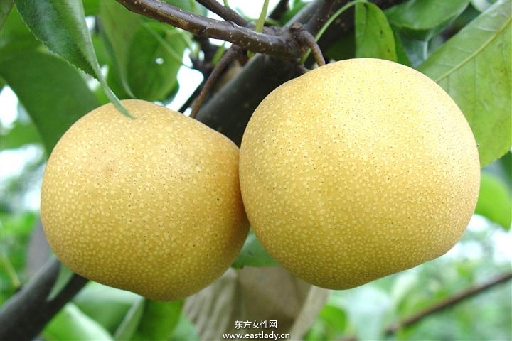 細(xì)數(shù)含糖量低的水果 它們都有什么豐富的營(yíng)養(yǎng)價(jià)值