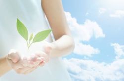 乙肝常識(shí)普及 乙肝的傳播途徑有哪些