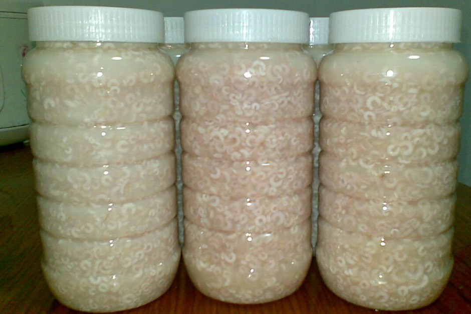 日常飲食養(yǎng)生之蜂皇漿的作用與功效