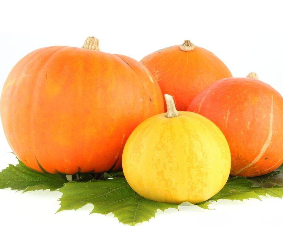 南瓜營(yíng)養(yǎng)價(jià)值高 揭你不知道的南瓜粥做法