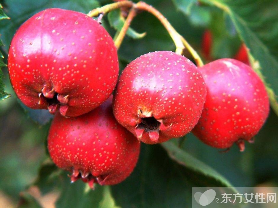 高血糖吃什么好 高血糖吃這些食物等于吃毒藥